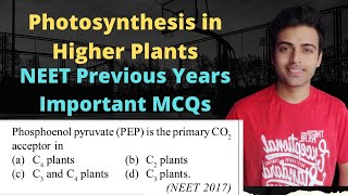 Photosynthesis in Higher Plants class 11 NEET Previous Years Questions | Important MCQs (PYQs)