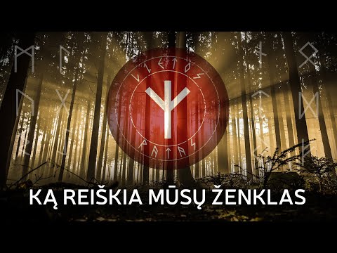 Video: Ką reiškia aplinkkelio ženklas?