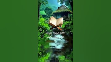 قران كريم بصوت القارئ وليد ابراهيم حالات واتساب