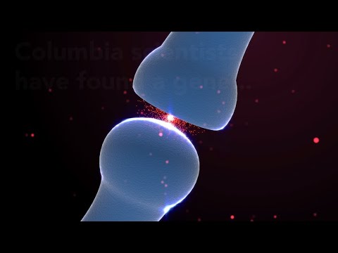 Neurons’ Faulty Wiring