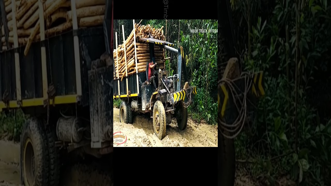 Perilous Timber Trails Incredible Logging Truck Challenges 