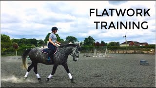FLATWORK TRAINING
