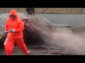 Sperm Whale explodes!