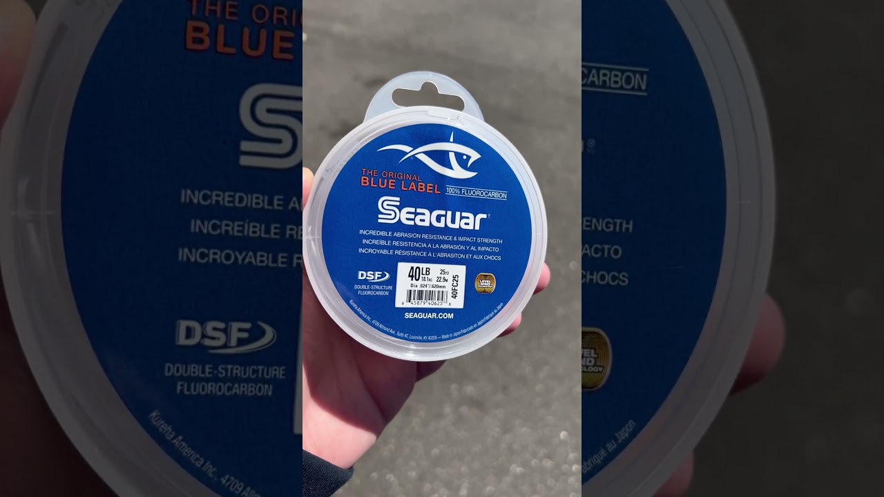 10 Best Fluorocarbon Line in 2022 - Buyer's Guide And Reviews! 