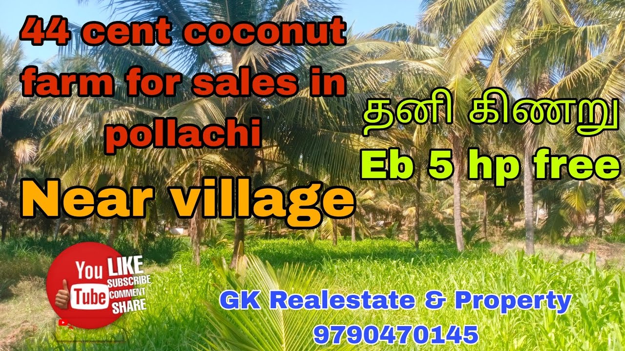 44 cent Coconut farm for sales in pollachi YouTube