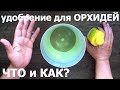 какие ОРХИДЕИ удобряю, чем и как, первый результат