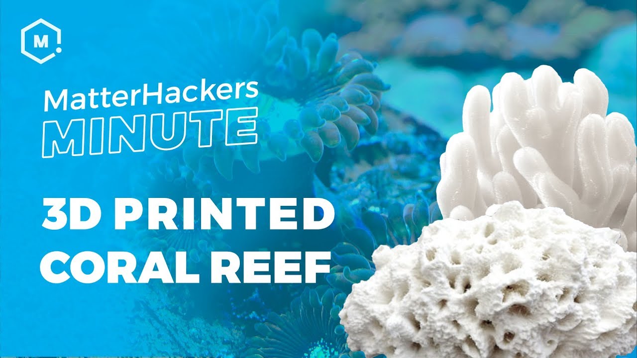 MatterHackers Minute // Using 3D Printing to Save Marine Wildlife - YouTube