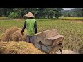 Genius Mechanic: Village Farmer's Homemade Paddy Tool #RuralAgriculture #TraditionalFarming