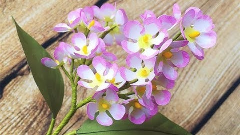 ABC TV | How To Make Paper Flower From Shape Punch - Craft Tutorial