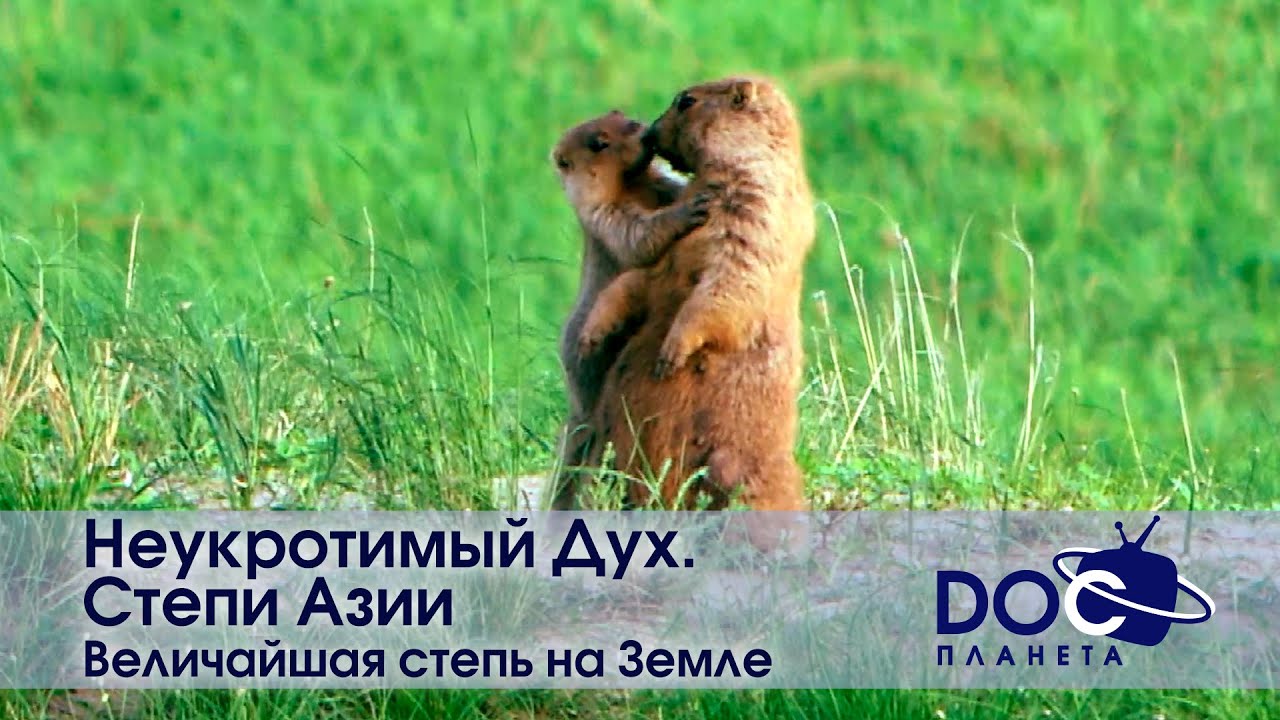 Неукротимый Дух. Степи Азии - Фильм 2. Величайшая степь на Земле ...