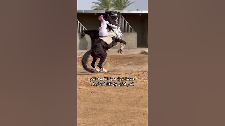 الحصان العربي الاصيل 🔥