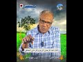 لقاء عبد الرحمن الريح وأثره في شعر الحلنقي