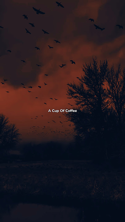 Death Bed - Powfu (Coffee for Your Head ) lyrics | whatsapp Status | English songs | slowed #lyrics