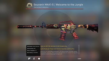 Souvenir M4A1-S | Welcome to the Jungle Minimal Wear Last Box