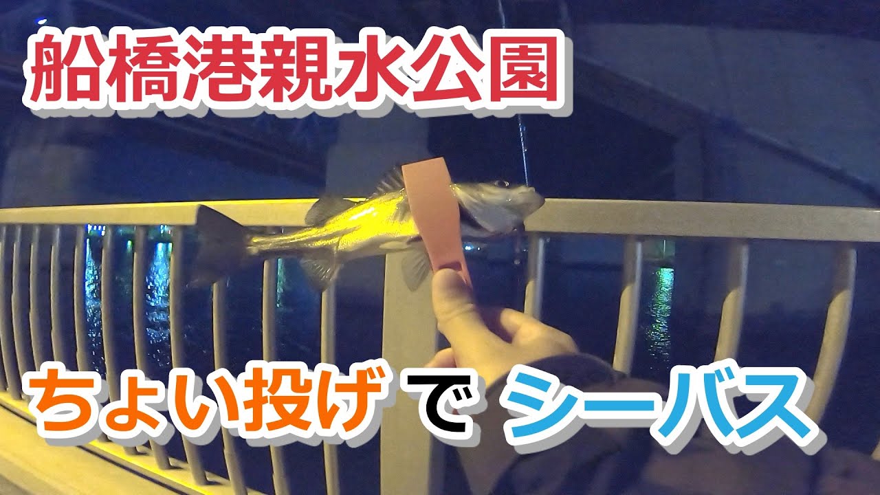 船橋港親水公園 ちょい投げでシーバス 東京湾奥 年12月19日 Youtube 船橋港親水公園 ちょい投げでシーバス 東京湾奥 年12月19日 Youtube