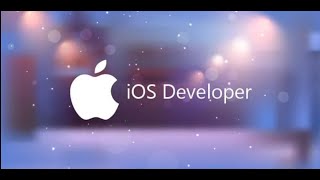 iOS Developer screenshot 2