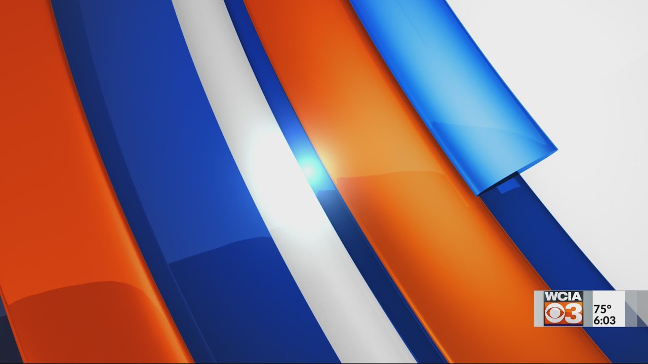 Victory over Violence: Kappa Kappa Gamma host 53rd annual flower sale to help DREAAM organization