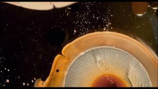 Ember Waves - Pale Blue Dot (Unreleased Bonus Track) MV