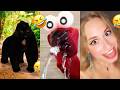 Nonomen funny video😂😂😂 BEST Nonomen Funny Try Not To Laugh Challenge Compilation 🤣