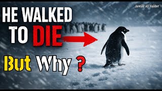 Mystery Behind the Viral Penguin Video | 2007 Antarctica Documentary Explained