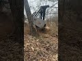 FAE RCU-120 Forestry Mulcher Taking Down Trees to the Beat