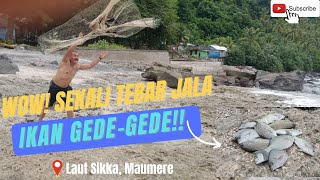 MENJALA IKAN di laut SIKKA dengan SEKALI TEBAR JALA