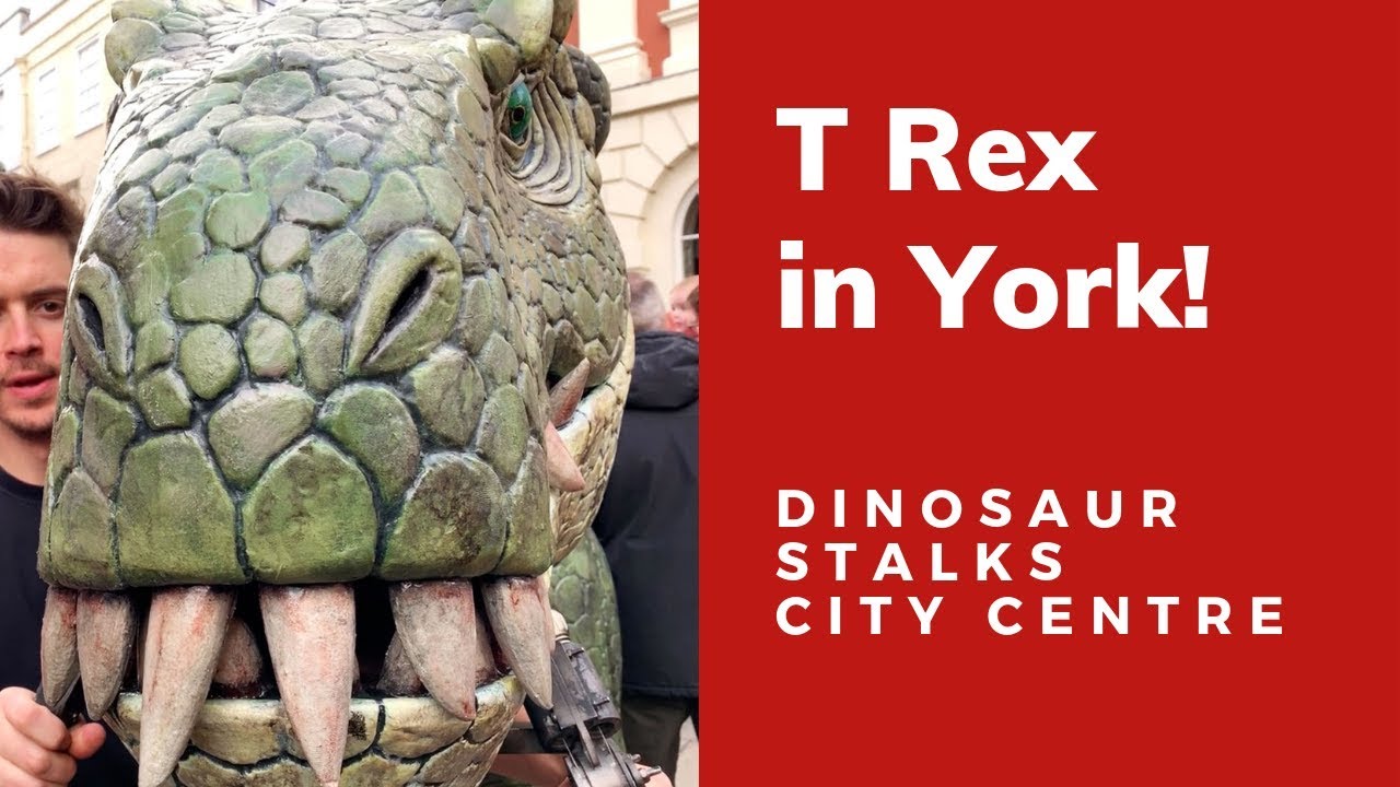 A T Rex is let loose in York city centre YouTube
