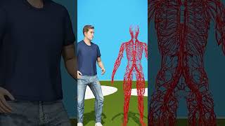 Things You Didn't Know About Your Own Body! 🧬 #shorts #science #facts