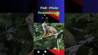 Tok-Pisin Translate To English Language