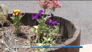 Private security patrolling Old Colorado City this summer