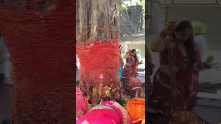 varth🥀 Savitri Puja