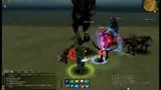 SILKROAD ONLINE FUN WITH A GOLBOT