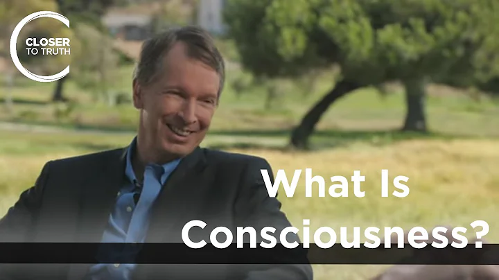Donald Hoffman - What is Consciousness?