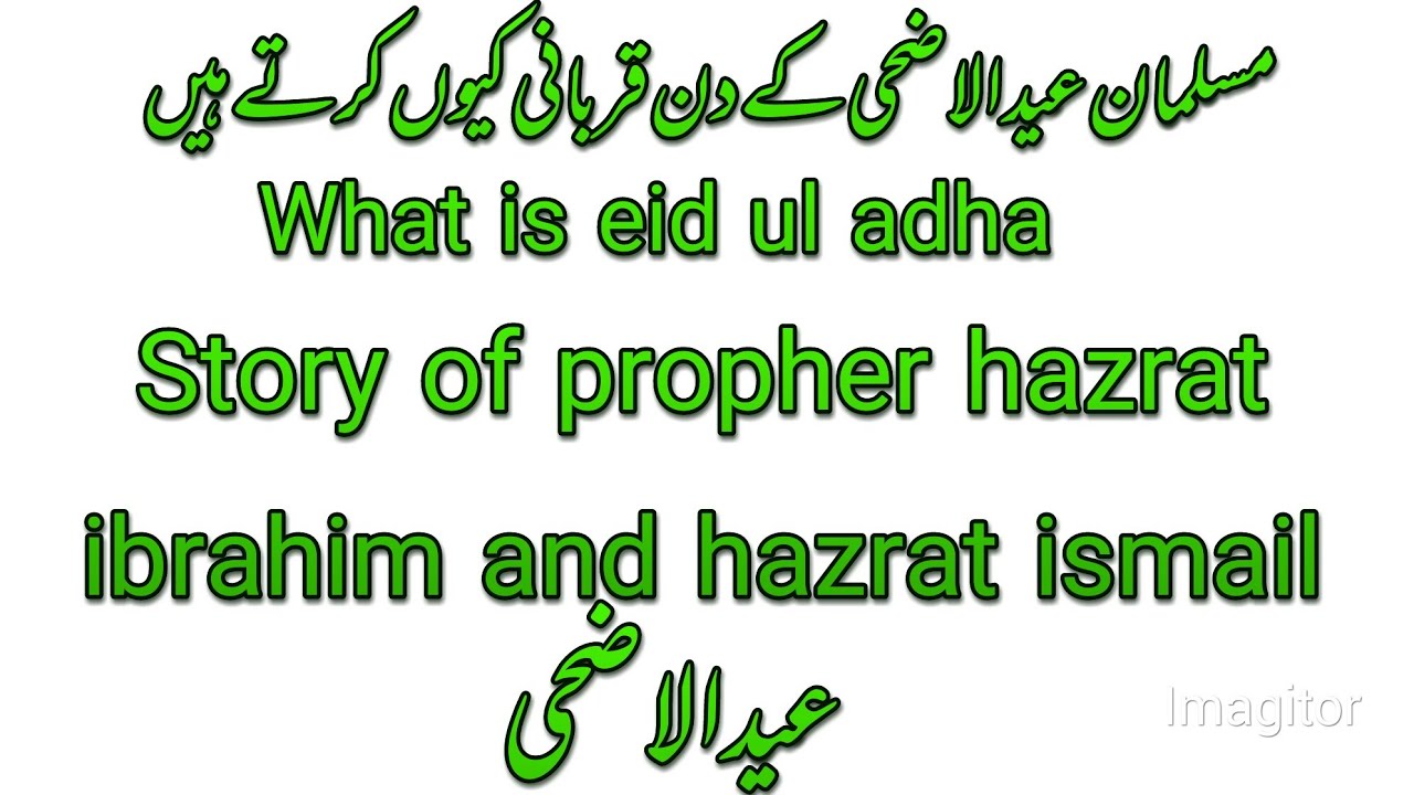 Eid ul adha |what is eid ul adha why do muslim sacrifice prophet hazrat ibrahim or H ismail ka waqia