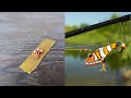 DIY Rattle-Roe Bead Lure Tutorial: Transform Your Fishing Game