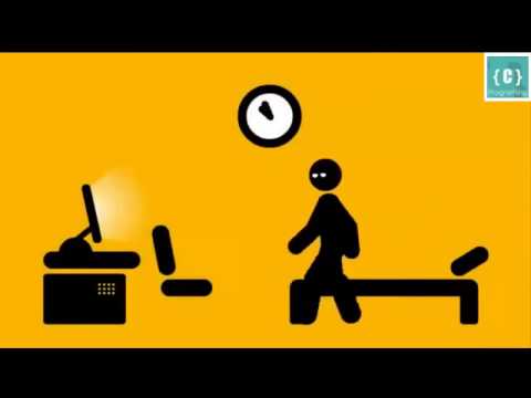 Programmer Life Funny Video