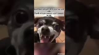 Dogesh bhai vs bijali vibhag//candle light dinner#dogeshbhai#funny#biker#memes#ytviral #ytmemes#bgmi