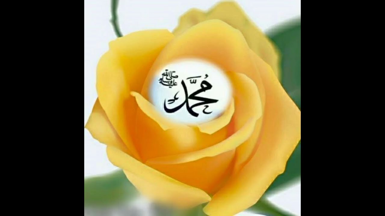 Mythbusting Allah Islamic images beautiful Allah flowers dpz Islamic images Allah DP 