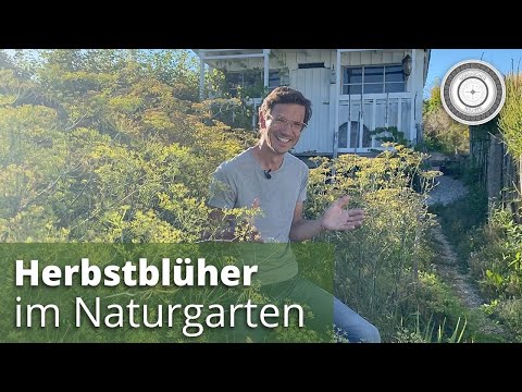 Video: Herbstblühende Pflanzen