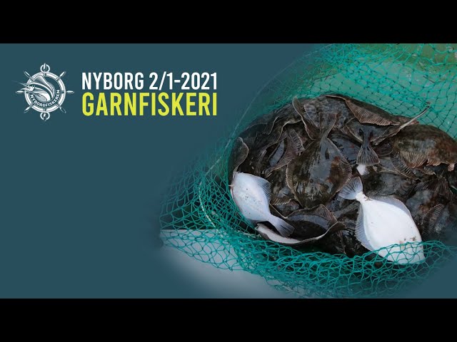 sur skuffe Bevæger sig ikke Garnfiskeri i Det Sydfynske Øhav - YouTube