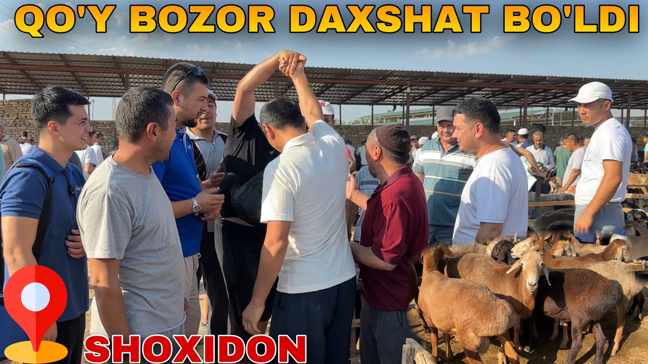 ШОХИДОН ҚЎЙ БОЗОРИ ДАХШАТ БЎЛДИ #2024 #qoyboqish #molbozor