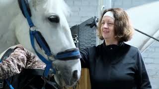 ❤️🐎Московский конный клуб Volte в проекте «Московское долголетие»