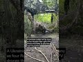 Ukrainian Soldier and Four Enemy FPV Drones That Failed to Detonate #warinukraine