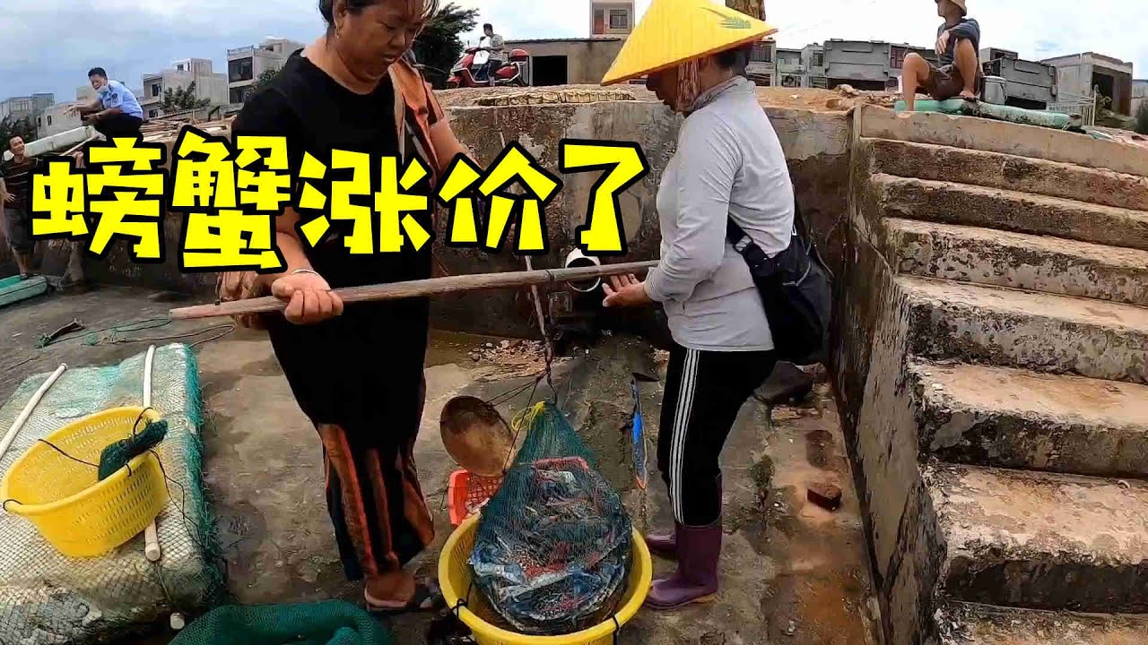 螃蟹涨价跟老爸去老地方下网，围了几圈网又是捉了一大袋【渔民小梁】