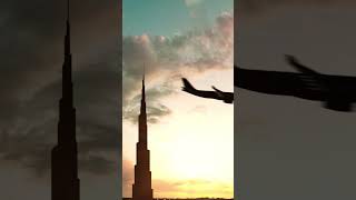 Airplane flying over the Silhouette of the Burj Khalifa in Dubai #planespotting #shorts #travelideas