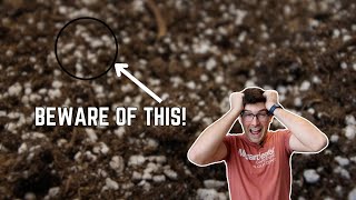 Before You Make Your Own Seed Starting Mix  WATCH THIS!