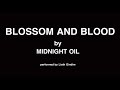 Blossom and blood midnight oil cover