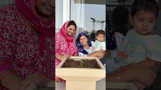 ye cheej mummy ki pasand me se ek hai #dailyvlogs #minivlog #shortvideo #familyvlog #tulsi