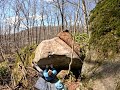 Canary in a Coal Mine V3 - Sandstone