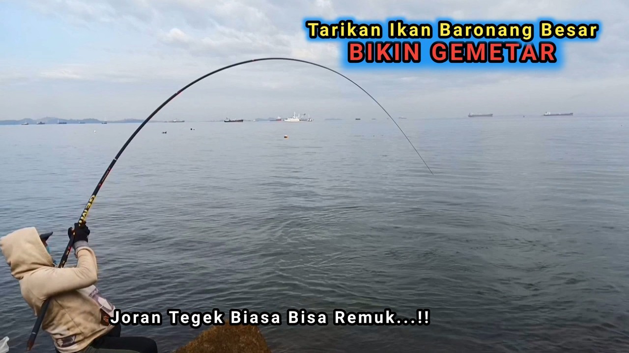 MANCING IKAN BARONANG BABON BESAR || Joran Tegek Biasa Bisa Patah dan Hancur